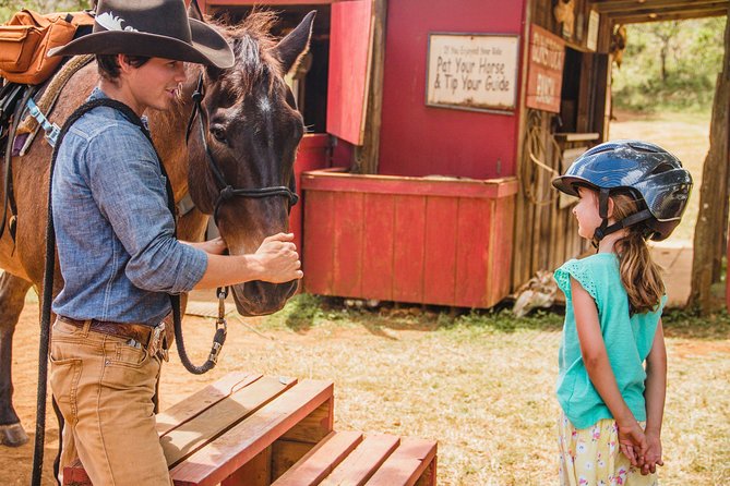 Pony Rides For Kids - What happens during the 30-minute ride