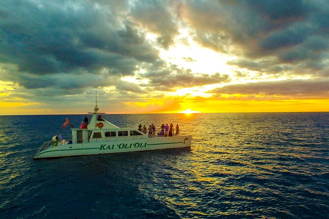 Premium Snorkel Sunset Cruise with Whale and Dolphin Watch - Key points to know before you book