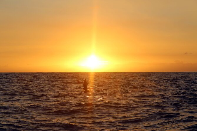 Premium Snorkel Sunset Cruise with Whale and Dolphin Watch - Hawaiian buffet and drinks on the Pacific