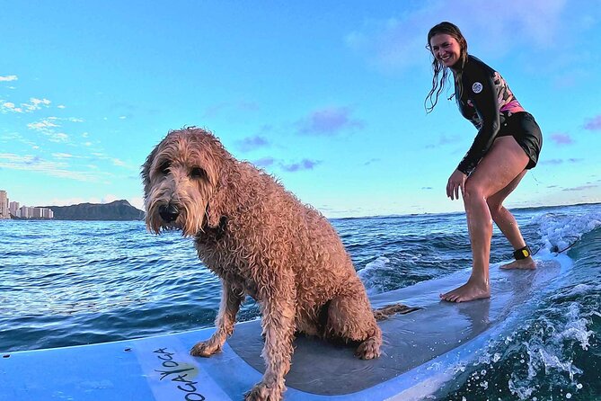 Private 1-on-1 Surf Lesson with Videos and Photos - Why Jake gets repeated praise