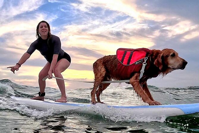 Private 1-on-1 Surf Lesson with Videos and Photos - Is $160 a fair price?