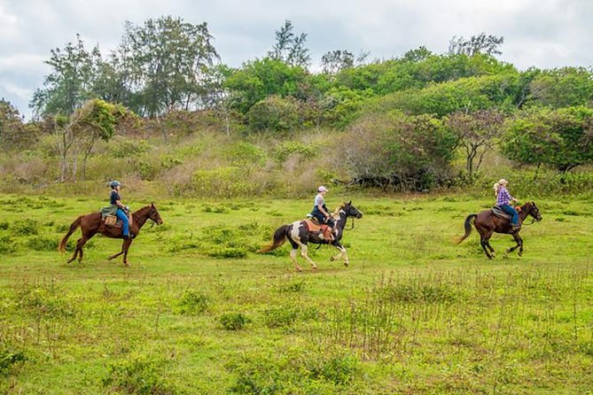 Private Advanced Trail Ride - Riding Across Gunstock Ranch’s 600 Acres