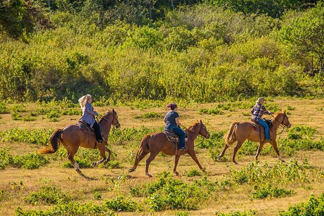 Private Advanced Trail Ride - Why the Countryside Is the Main Reward