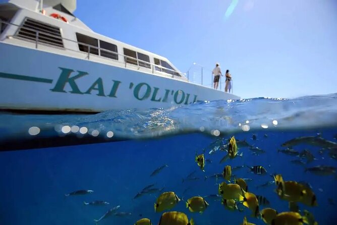 Private and Luxurious Sunset Cruise with Whale & Dolphin Watch - From Ko Olina Marina to Oahu’s Western Coast