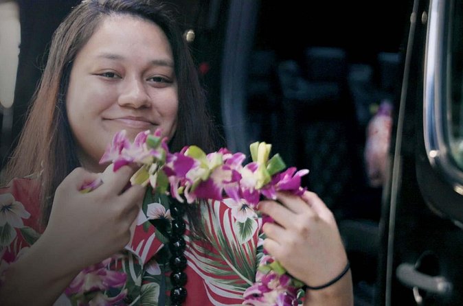Private Arrival Transfer: Honolulu International Airport to Oahu Hotels or Cruise Terminal - Practical booking advice for HNL arrivals