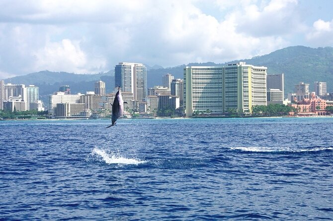 Private Boat Charter in Waikiki for Snorkeling and Events - Weather, communication, and the practical details