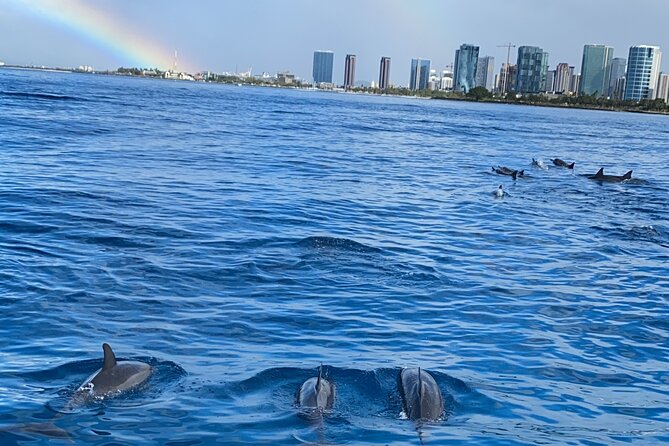 Private Catamaran Cruise and Snorkeling Tour in Honolulu - Wildlife watching: turtles are likely, dolphins are a bonus