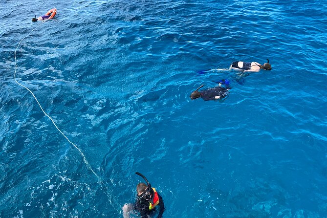 Private Catamaran Cruise and Snorkeling Tour in Honolulu - Music, drinks, and the feel of the boat