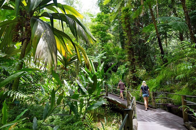 Private Circle Island Off-the-Beaten- Oahu Tour - Who will get the most from this tour