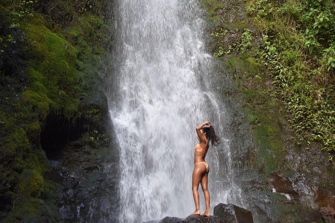Private Circle Island Tour we build your dream Itinerary - East Oahu: blowholes, beaches, and mountain views