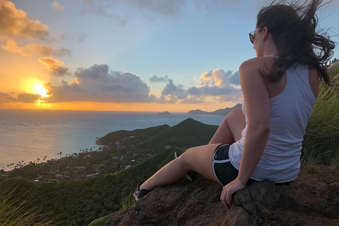 Private Circle Island Tour we build your dream Itinerary - Honolulu culture and west-side beaches