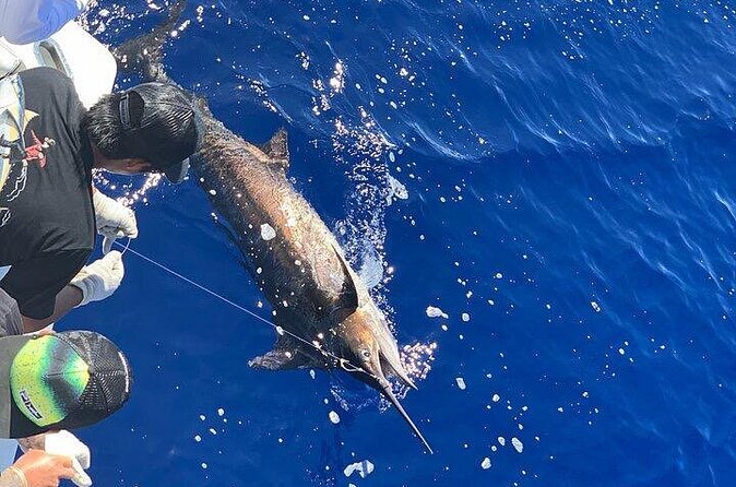 Private Deep Sea Full-Day Fishing Charter in Hawaiian Waters - Ahi, mahimahi, and ono bring variety