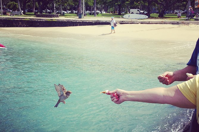 Private Dole,Garlic Shrimp,Haleiwa,North Shore Customizable tour - Should you book it?