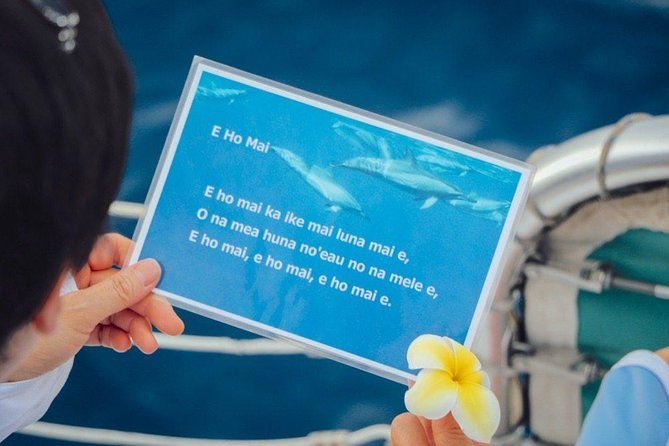 Private Dolphin Swim with Slide for up to 15 Passengers - Hula, music, and the human side of the trip