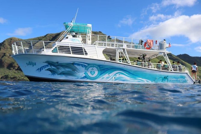 Private Dolphin Swim with Slide for up to 15 Passengers - Searching for dolphins in open water