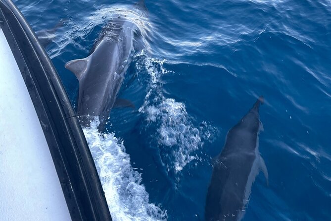 Private Fishing Charter for Family and Friends in Honolulu - What to bring for two hours on the water