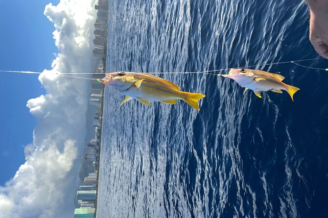 Private Fishing Charter for Family and Friends in Honolulu - A realistic look at the catch