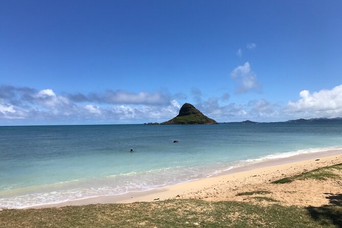 Private Full-Day Circle Island Guided Small-Group up to 6 (Se habla Español) - Coffee country and the final pineapple stop