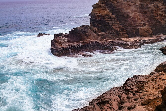 Private Half-Day Circle Island Highlights Tour in Oahu - Dole Plantation: a snack and restroom break