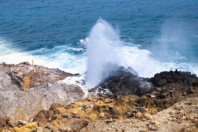 Private Half-Day Circle Island Highlights Tour in Oahu - Private transportation, pickup, and group size