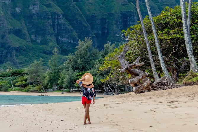 Private North Shore of Oahu Tour - Lunch, From Shrimp Trucks to Your Own Choice