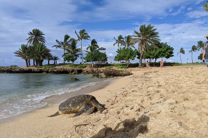Private Oahu Circle Island Tour - Tropical Farms turns scenery into a tasting stop