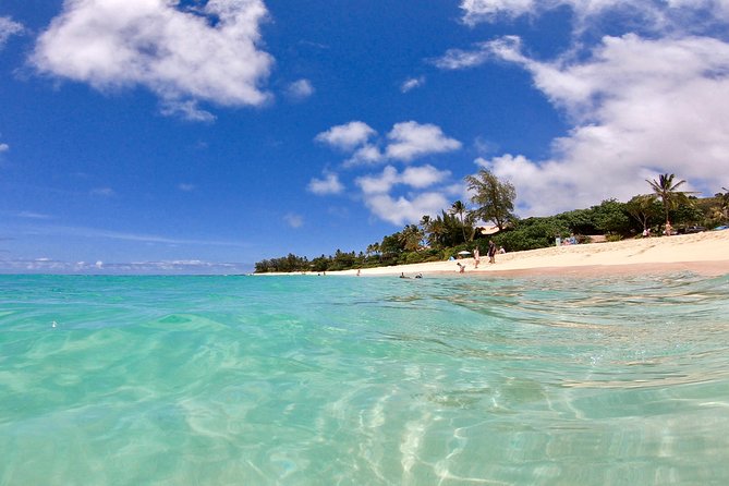 Private Oahu Pearl Harbor and Island Sightseeing Combination Tour - Practical Details Before You Reserve