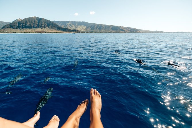 Private Oahu Sunset Charter with Tasting and Drinks - Comfort, space, and practical details on board
