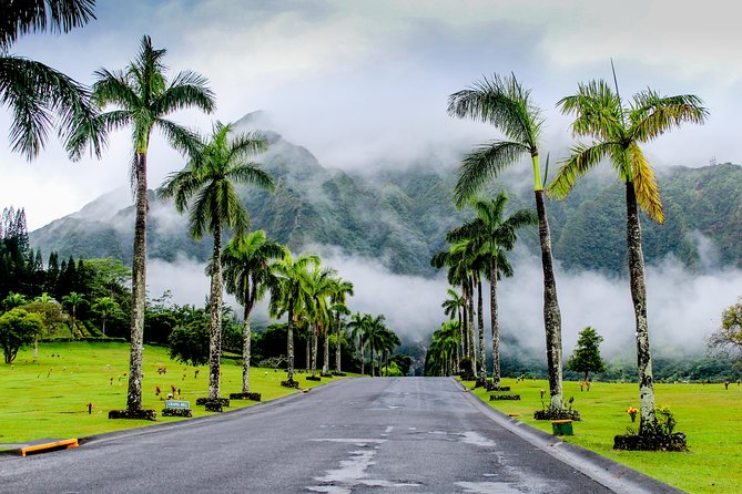 Private Oahu Van Tour - Ehukai Beach Park and Pipeline