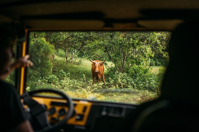 Private Off-Road Adventure Tour - The 90-minute ride through ranch country