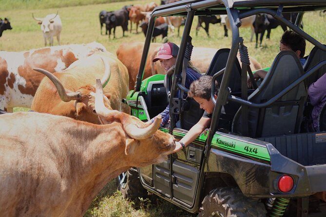 Private Off Road Explorer's Tour - What the Gunstock Ranch outing is really about