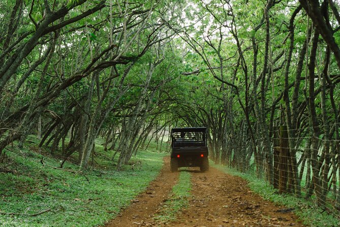 Private Off Road Explorer's Tour - Who will enjoy this most