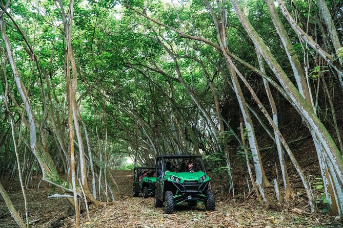 Private Off Road Explorer's Tour - Starting at 56-250 Kamehameha Highway