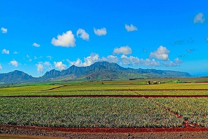 Private Pearl Harbor and Mini Circle Island Tour from Waikiki - Key points before you book