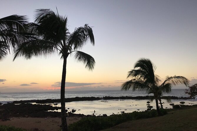 Private Pearl Harbor & North Shore tour (Se habla Español) - Coffee and pineapple make a good change of pace