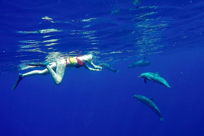 Private Sea’fari Expedition • 8 Guests Included (Expandable) - What makes this private sea safari different