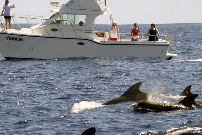 Private Sea’fari Expedition • 8 Guests Included (Expandable) - Hawaiian culture and citizen science on the water