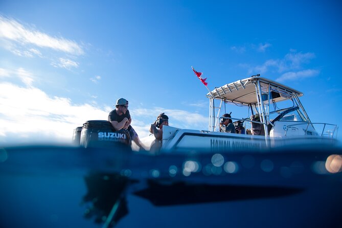 Private Shark Dive, Oahu, Hawaii (6 Guest) - Meeting the boat in Haleiwa