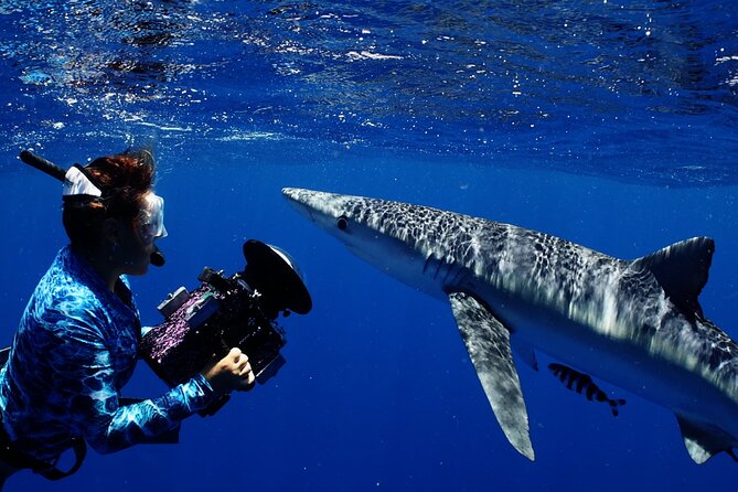 Private Shark Dive, Oahu, Hawaii (6 Guest) - Weather, cancellation, and the cost of changing plans