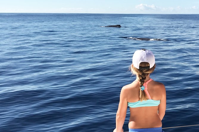 Private Snorkel Trip from Oahu on a Yacht - Setting Sail from Ko Olina Marina