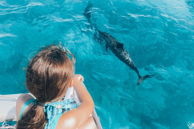 Private Snorkel Trip from Oahu on a Yacht - What the Private Price Really Buys
