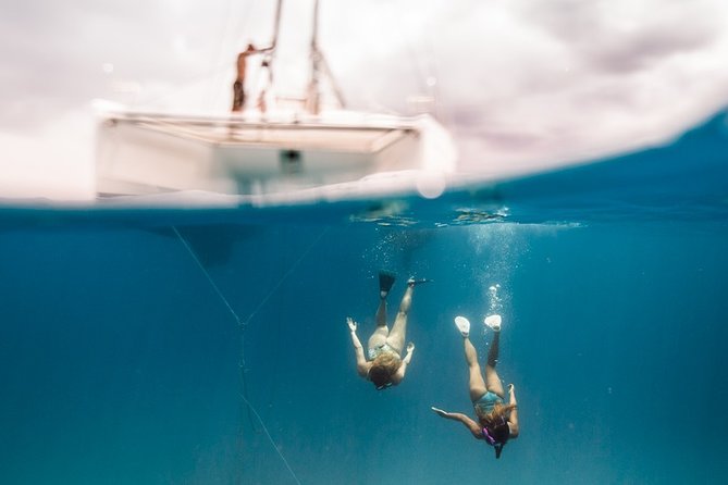 Private Snorkel Trip from Oahu on a Yacht - Who Will Get the Most from This Charter