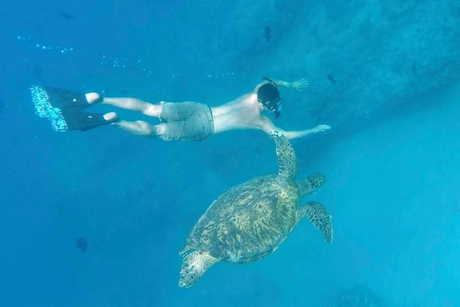 Private Snorkeling and Wildlife on The Adventure Boat - What this private Oahu boat trip is really like