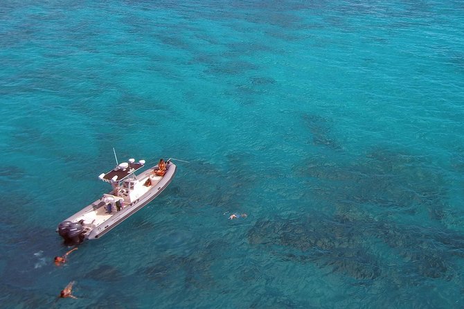 Private Snorkeling and Wildlife on The Adventure Boat - The private format is the real luxury