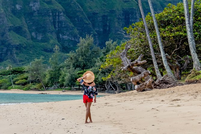 Private South Shore of Oahu Tour - Nuʻuanu Pali finishes with wind and history