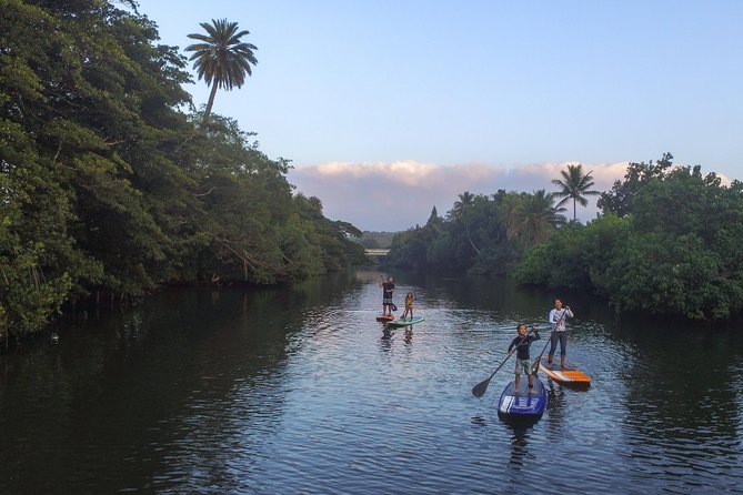 Private Stand up Paddle Lesson and Tour (for 1 or more paddlers) - Learning to stand before exploring the river