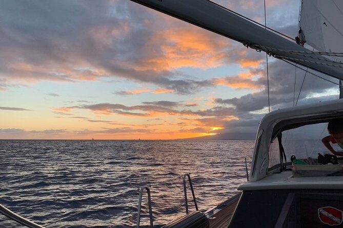 Private Sunset Boat Cruise in Waikiki Honolulu - Wildlife is possible, but never the main promise