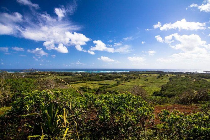 Private Sunset Dinner Horseback Ride - Key points at a glance