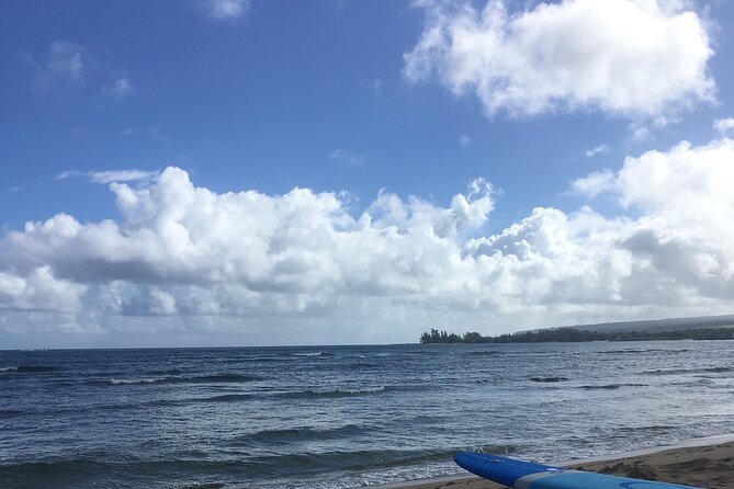 Private Surfing Lessons on the North Shore of Oahu - Dry-land practice makes the first wave less confusing