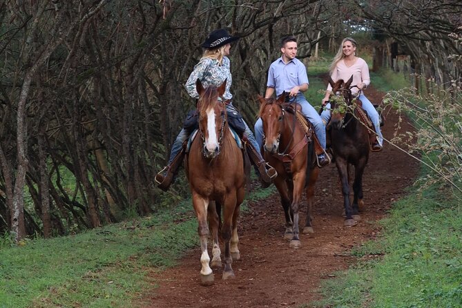 Private Sweetheart Horseback Ride - The ocean lookout and private picnic